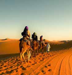 Dubái y Abu Dhabi al completo — Categoría B