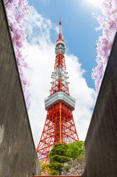 Japón para todos — Categoría A