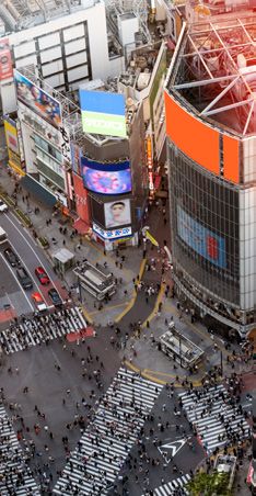 China y Japón para todos — Categoría A