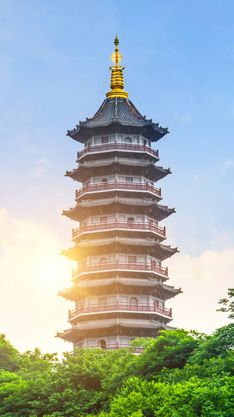 China y Japón para todos — Categoría A