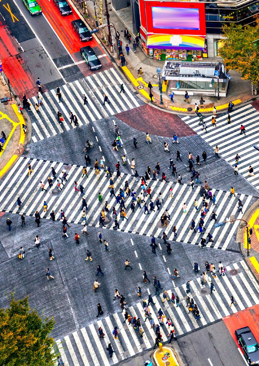 Lo mejor de China y Japón — Categoría A