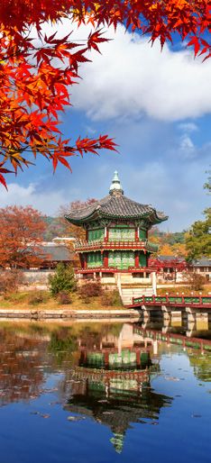 China, Japón y Corea para todos — Categoría A